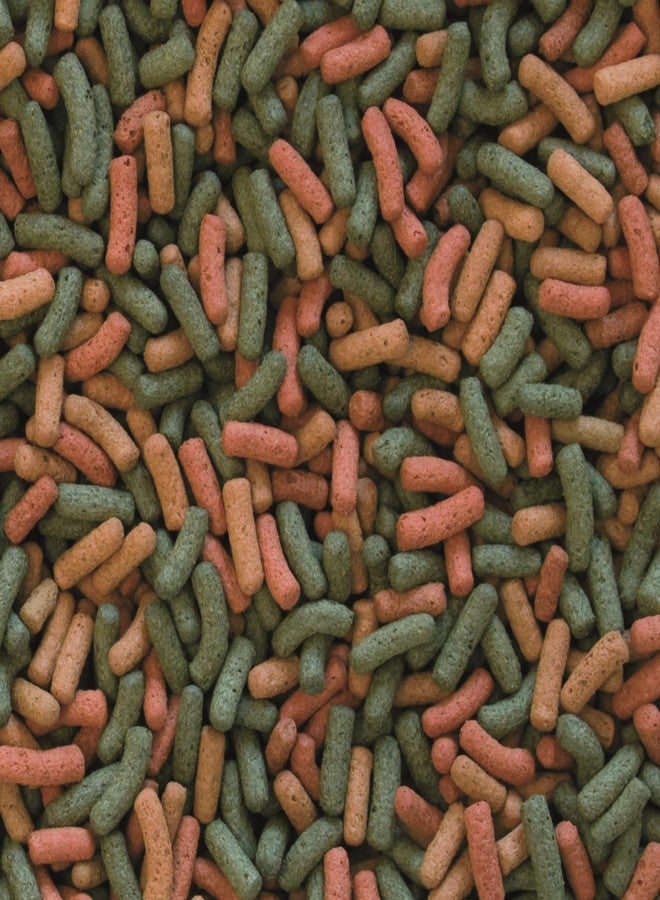 Tropical Biorept W 75gm - Image 2